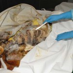 A macabra história da ciência forense