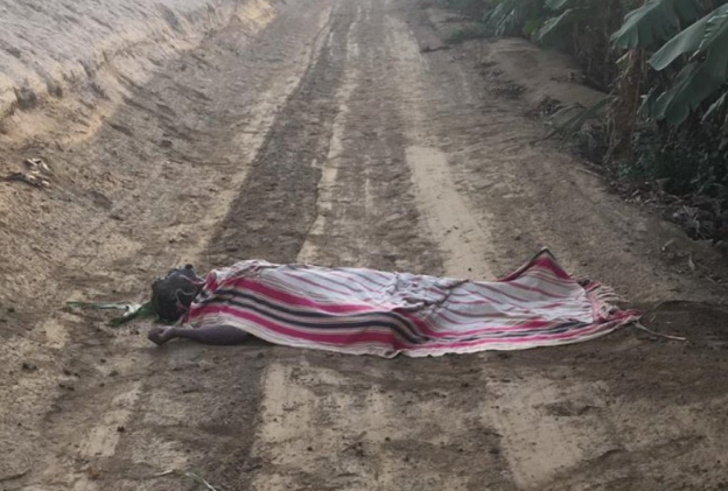 Em duas semanas três corpos enrolados ou cobertos por panos foram encontrados em estradas da Arábia Saudita. Foto: twasul.info.