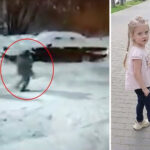 Russos em choque com caso de criança sequestrada no meio da rua e assassinada